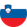Slovenia U21