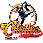 Criollos de Caguas FC