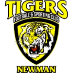 Azam Tigers