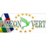 Pigeon Vert