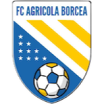 Agricola Borcea