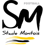 Stade Montois