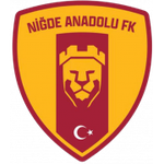 Nigde Anadolu FK
