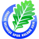 Ergene Velimese Spor