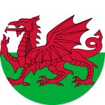 Wales U19