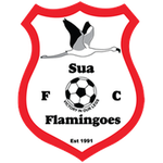 Sua Flamingoes