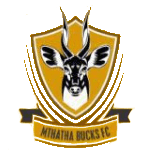 Mthatha Bucks