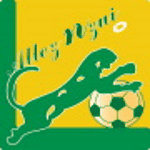 Panthere FC